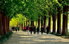 베스트갤러리 - 메타길