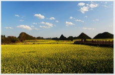 베스트갤러리 - 전망대로 가는길