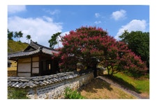 베스트갤러리 - 유봉영당 ..