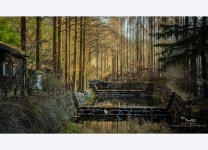 베스트갤러리 - 늦게 찿아간 장태산