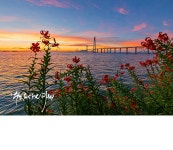 베스트갤러리 - 천사대교의 아침