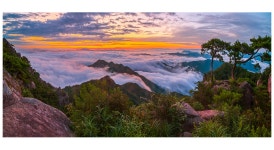 베스트갤러리 - 운해와 형제송