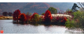 베스트갤러리 - 생태공원의추억