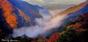 베스트갤러리 - 청량산 추경