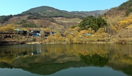 베스트갤러리 - 구례산수유마을....