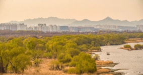 베스트갤러리 - 신록