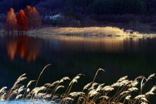 베스트갤러리 - 아침햇살