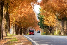 베스트갤러리 - 무진장 빨간버스