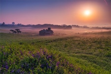 베스트갤러리 - 안성목장