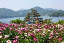 베스트갤러리 - 꽃길걷는 꽃님들