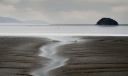 베스트갤러리 - 갯골