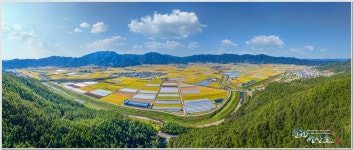 베스트갤러리 - 적중,초계들판