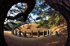 베스트갤러리 - 흥덕왕릉