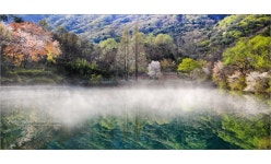 베스트갤러리 - 송곡지