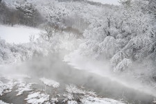 베스트갤러리 - 대관령