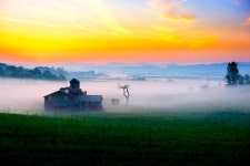 베스트갤러리 - 안성 목장