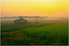 베스트갤러리 - 안성목장