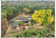 베스트갤러리 - 밀양금시당 추색