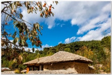 베스트갤러리 - 고향 생각