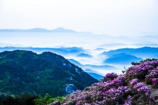 베스트갤러리 - 아름다운 우리강산 . .