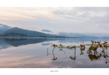 베스트갤러리 - 강변소풍