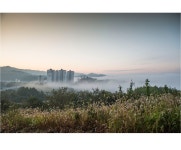 베스트갤러리 - 랑개 자욱한 고향의 아침
