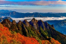 베스트갤러리 - 구봉산~