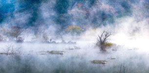 베스트갤러리 - 아름다운 생태공원