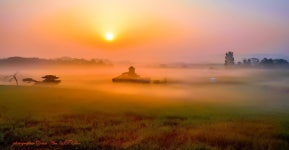 베스트갤러리 - 안성팜랜드