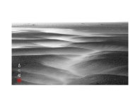 베스트갤러리 - 갯골에 빠지다.