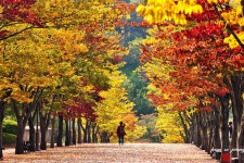 베스트갤러리 - 아 가을아