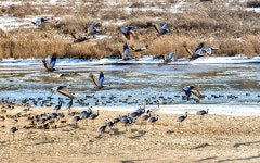 베스트갤러리 - 아름다운 강산64