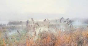 베스트갤러리 - 물안개 피는