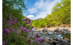 베스트갤러리 - 뱀사골