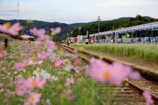 베스트갤러리 - 열차와 북천역