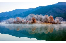 베스트갤러리 - 아름다운 주천