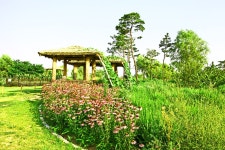 베스트갤러리 - 노을공원