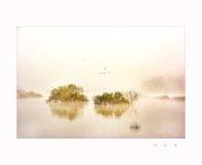 베스트갤러리 - 용담호소경....