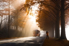 베스트갤러리 - 시선잡는 행복한 무진장 버스