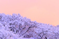 베스트갤러리 - 덕유산