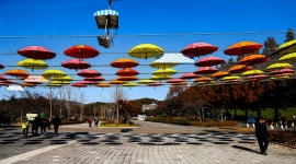 베스트갤러리 - 동물원 가는 길