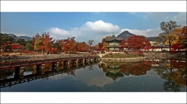 베스트갤러리 - 향원정(香遠亭)