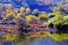 베스트갤러리 - 용담호의 가을
