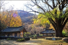 베스트갤러리 - 가을