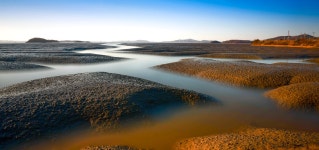 베스트갤러리 - 갯골