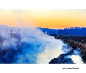 베스트갤러리 - 물안개 피는 아침