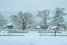 베스트갤러리 - 내소사