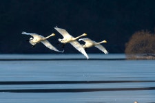 베스트갤러리 - 경안천 소식