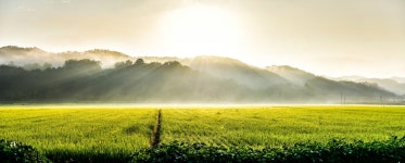 베스트갤러리 - 들녘아침