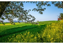 베스트갤러리 - 학원농장